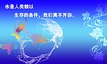节约用水