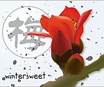 梅花