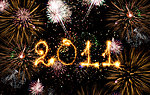 新年 new year 2011