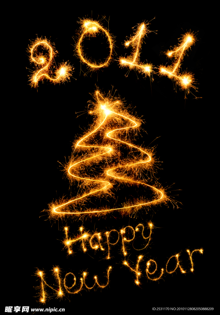 新年 new year 2011