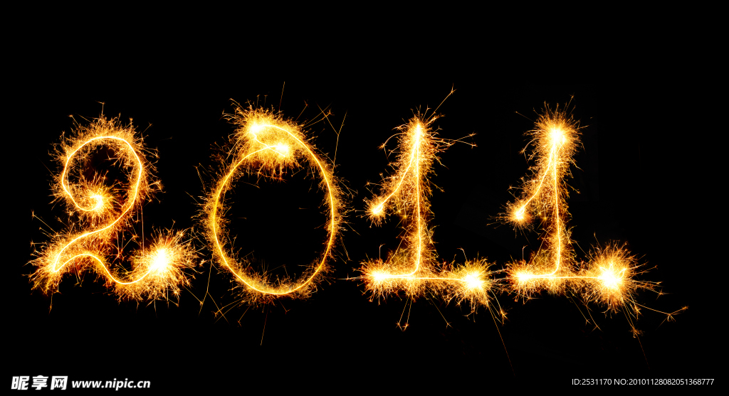 新年 new year 2011