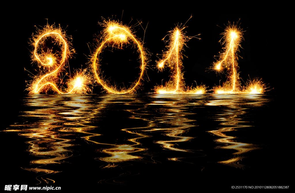 新年 new year 2011