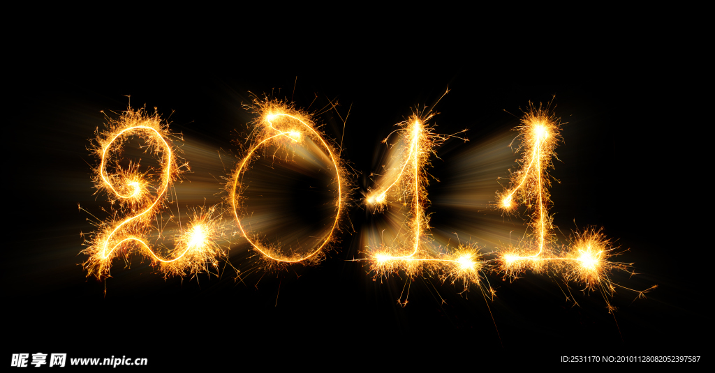 新年 new year 2011