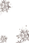 移门 黑白花