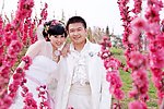 婚纱照