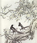 鹊梅迎春
