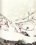 飘雪