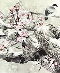 飘雪