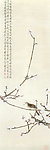 幽香