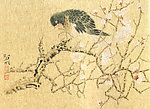 憩息