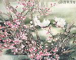 繁花似锦
