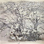 初雪