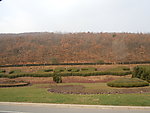 风景