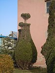 绿色植物