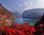 三峡红叶