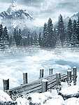 冬季雪景