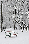 冬季雪景高清图片