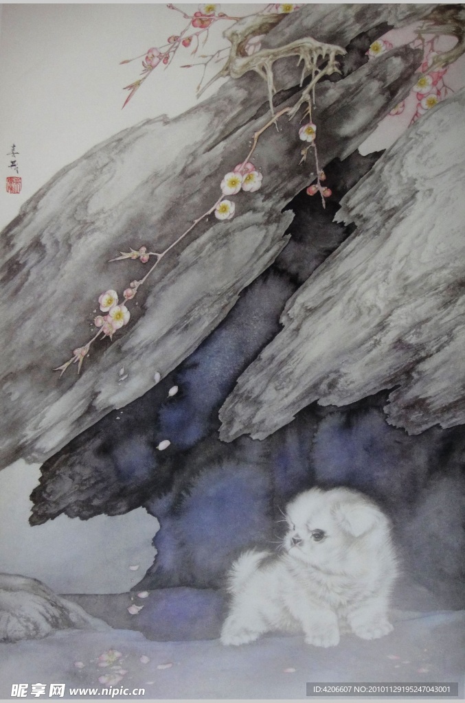 观赏犬