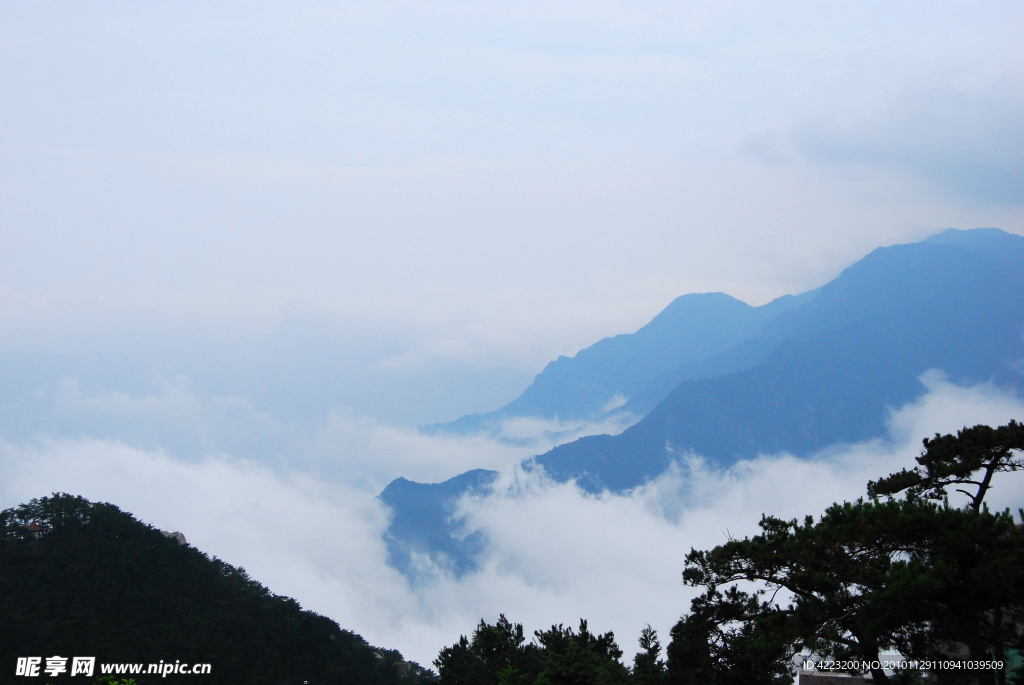 高山仙境