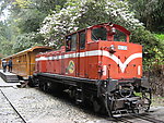 阿里山森林火车
