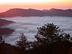 阿里山云海