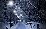 夜雪