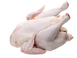 生鸡肉