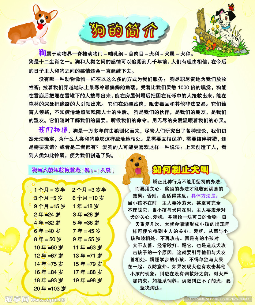 狗的简介