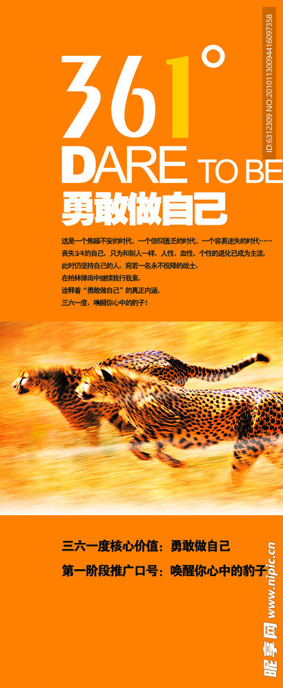 361易拉宝