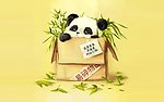 小熊猫