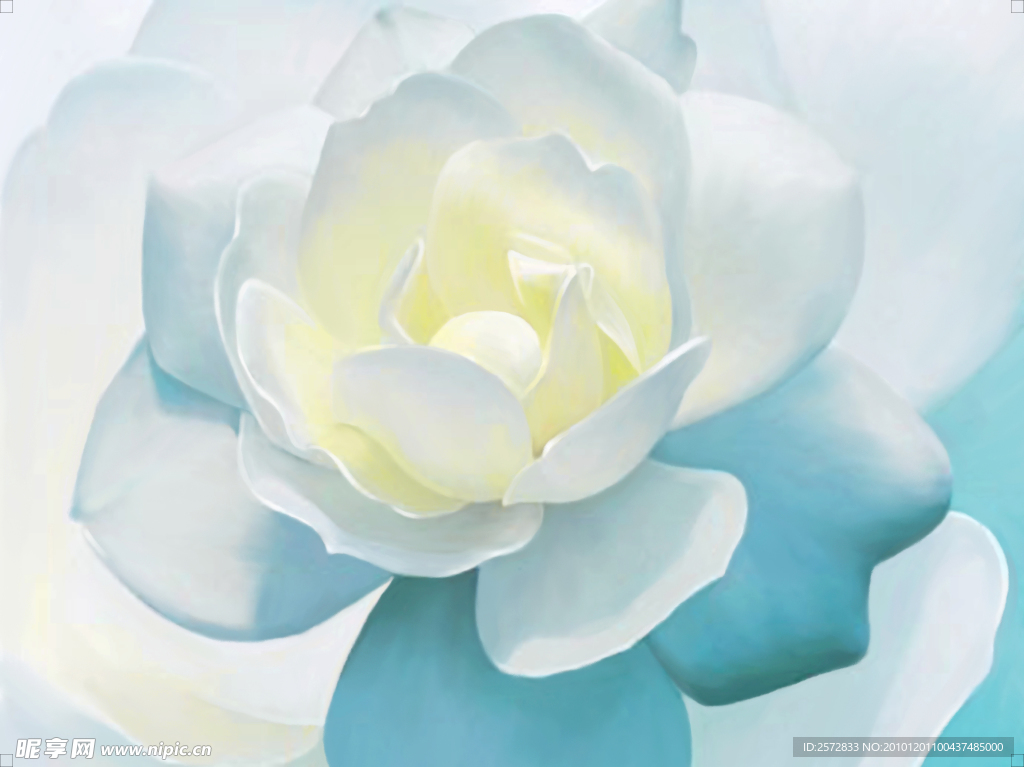 花卉