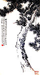 罗汉松