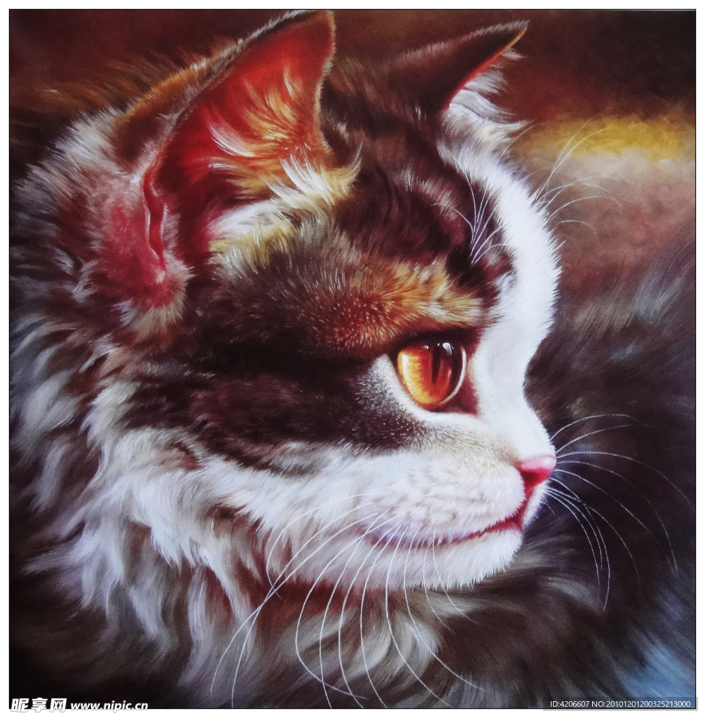 小猫