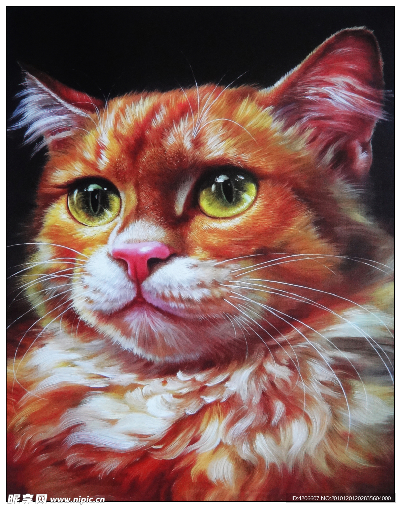 小猫