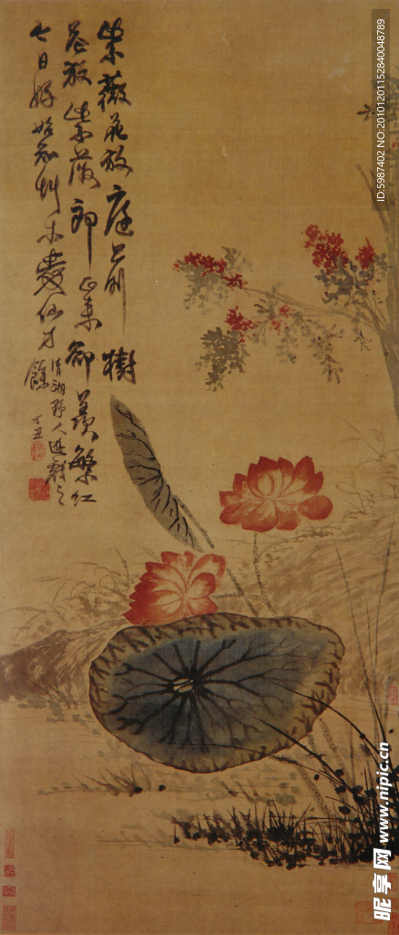 石涛 紫薇花放