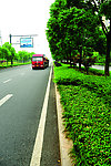 2009道路绿化金奖 钱江路景观照片