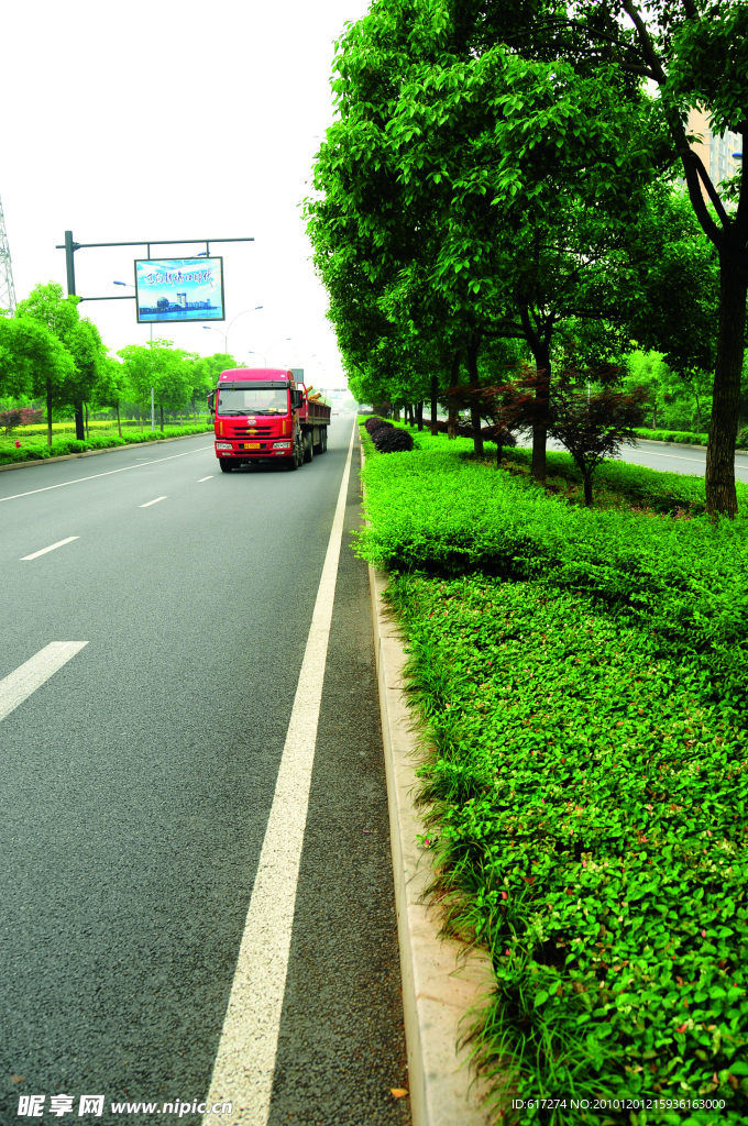 2009道路绿化金奖 钱江路景观照片