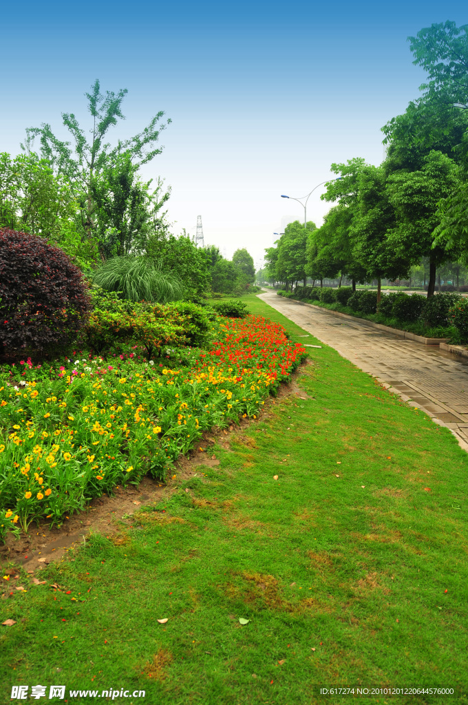 2009道路绿化金奖 钱江路景观照片