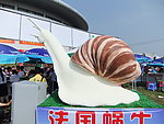 蜗牛石膏造型