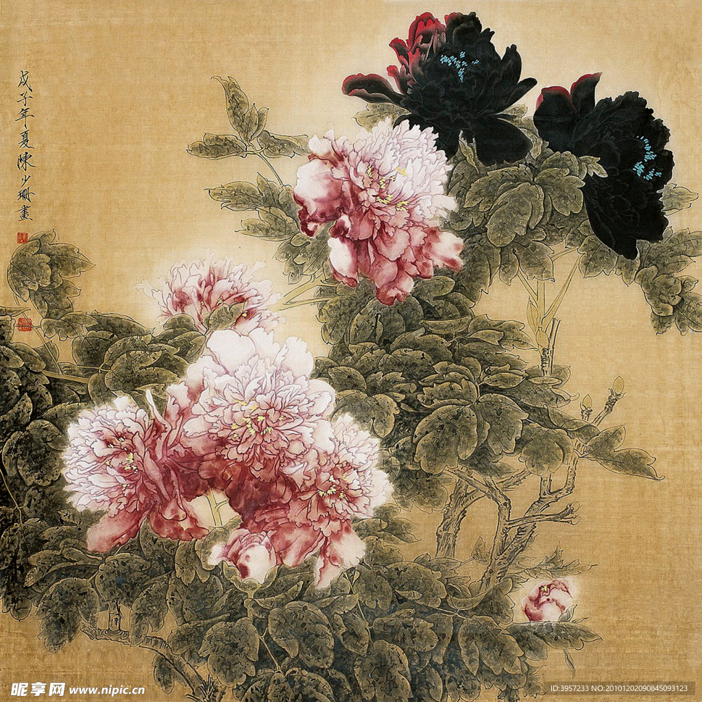 花卉写生