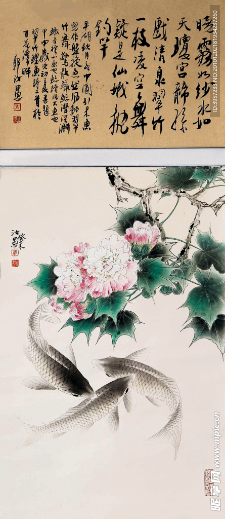 芙蓉鲤鱼