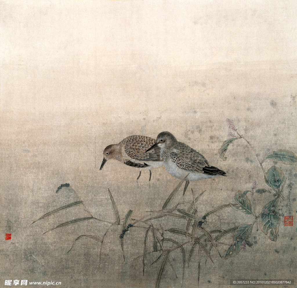 二只水禽