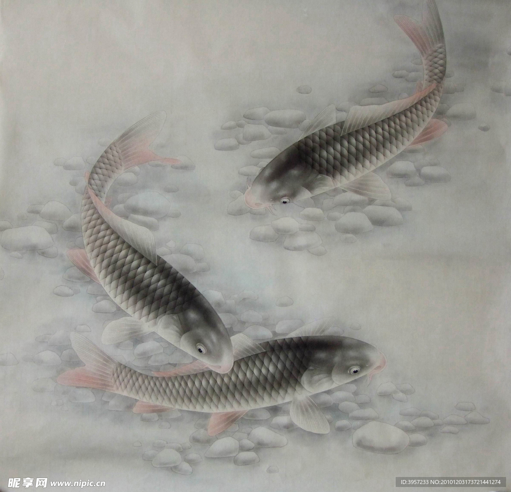 三鲤图