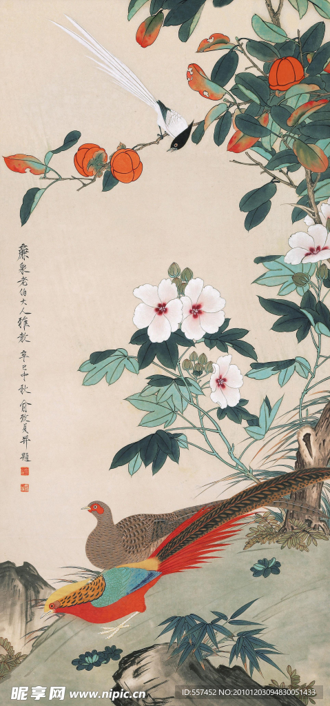 花鸟