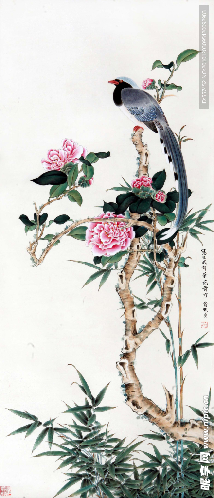 花鸟