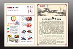 倾城之恋系列 梅之芳 宣传单