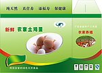 土鸡蛋包装设计