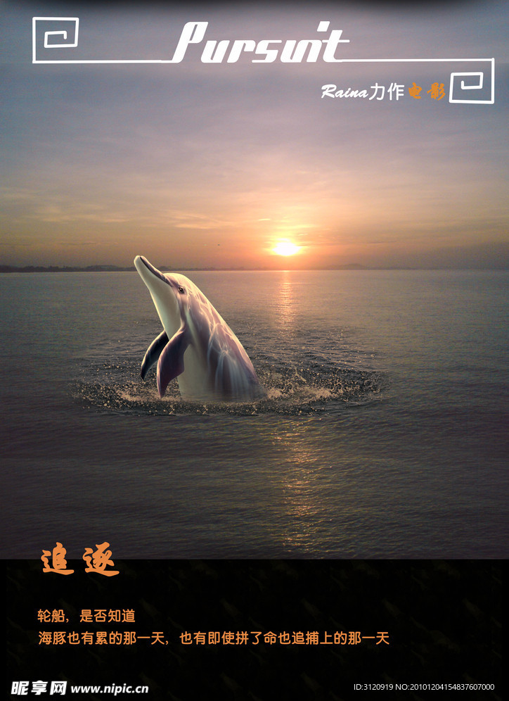 海豚落日
