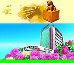 邮政大楼 牡丹花