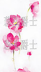 水彩小花
